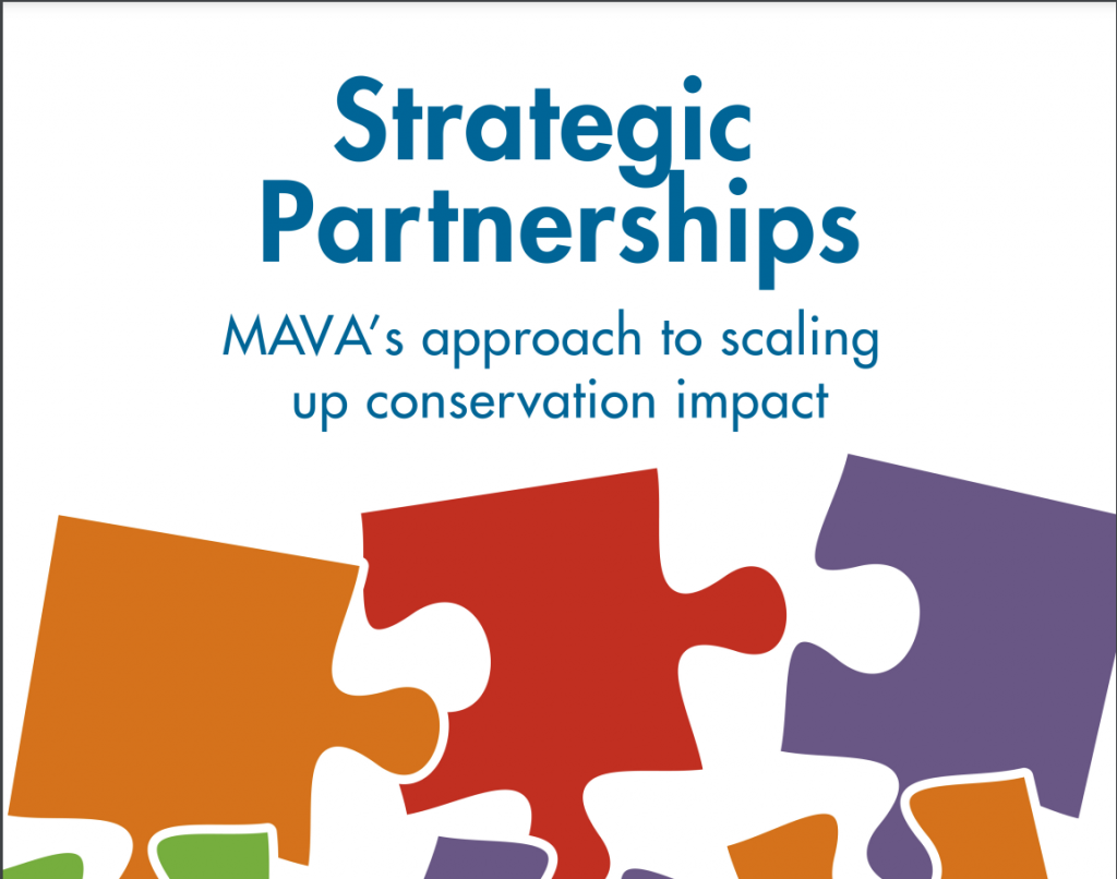 Conservation Standards Archives The Open Standards For The Practice